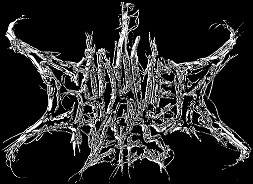 CE logo
