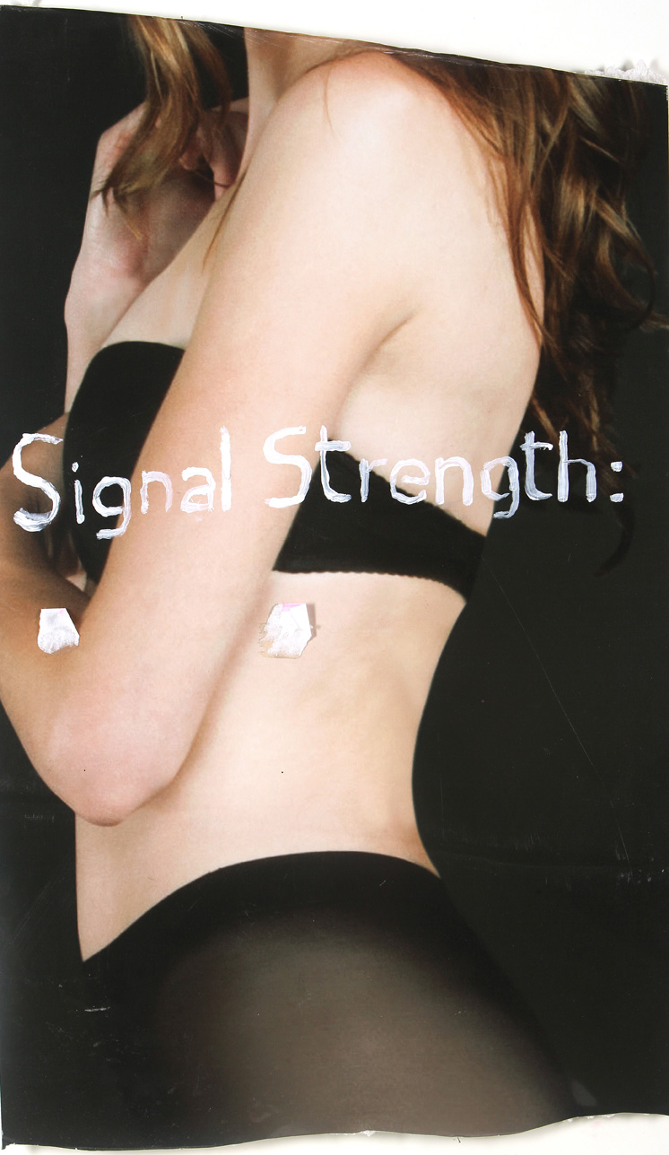 Signal strength, mixed media, 48 x 80, 2014
